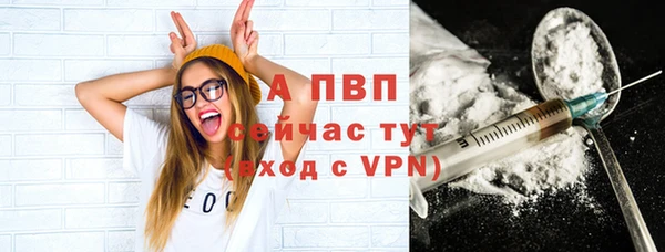 твердый Осташков