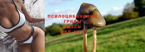 ГАЛЛЮЦИНОГЕННЫЕ ГРИБЫ Бутурлиновка