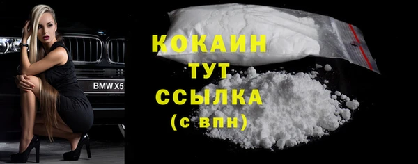 твердый Осташков
