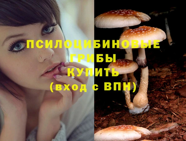а пвп мука Осинники