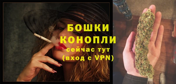твердый Осташков