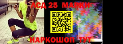 бошки Гатчина