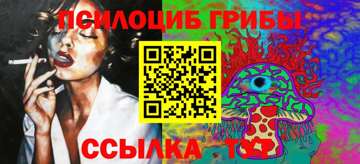 Галлюциногенные грибы MAGIC MUSHROOMS  сколько стоит  Череповец  Вход с VPN 